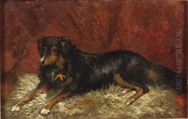 Carlo/a Portrait Of A Seated Dog - view 1
