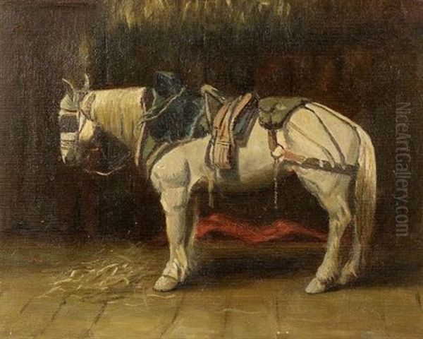 In Full Tack - A Horse Portrait - view 1
