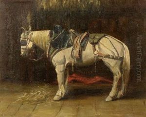 In Full Tack - A Horse Portrait In Full Tack - A Horse Portrait