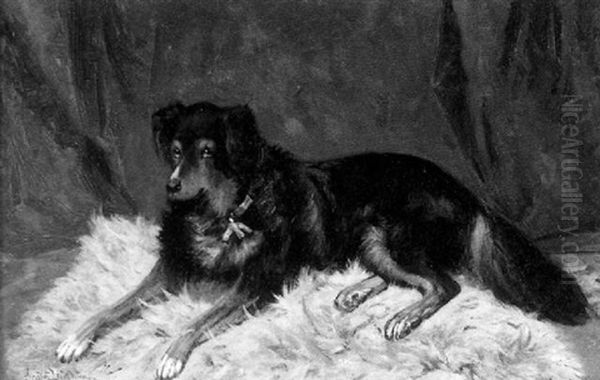 Portrait Of A Dog - view 1