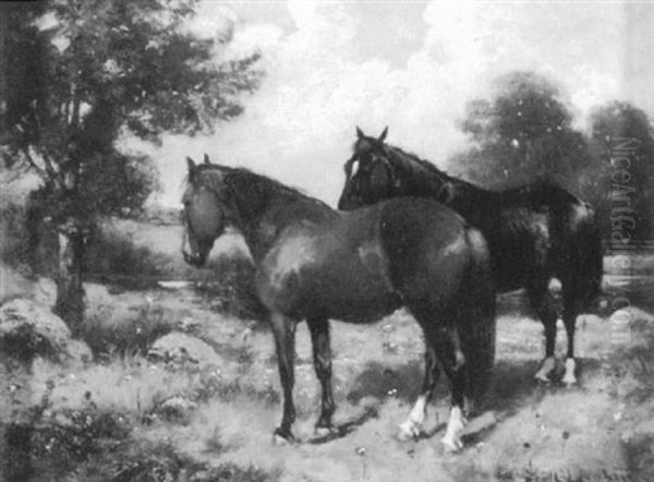 Two Horses In A Rocky Pasture - view 1