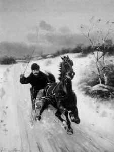 Sleigh Racing