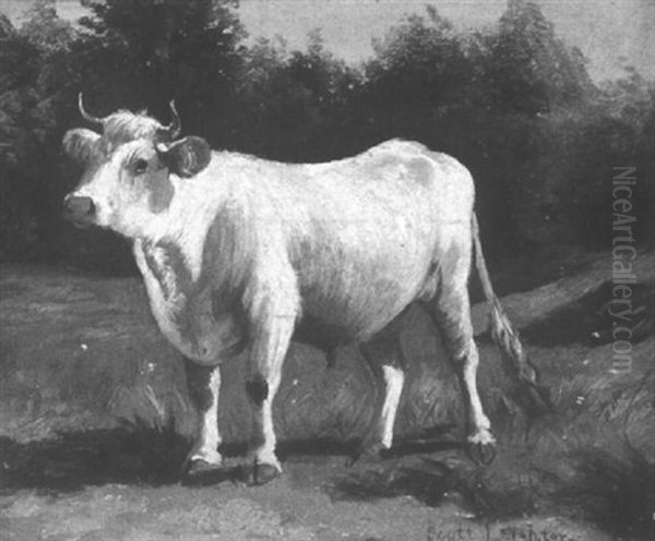 The White Bull - view 1