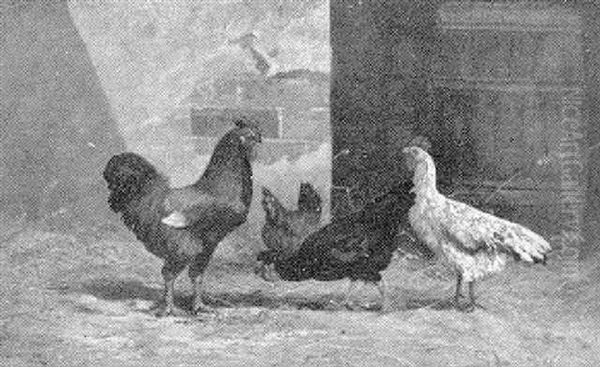 Barnyard Fowl - view 1