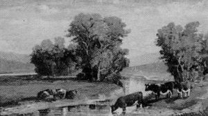 Cows By The River Cows By The River