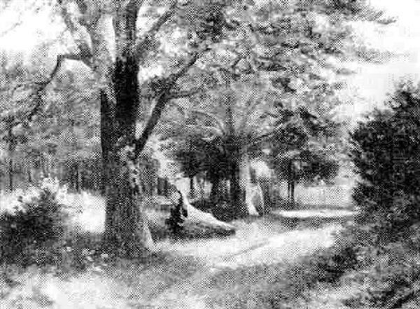 The Forest Road - view 1