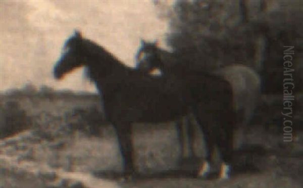 Chestnut And Roan - view 1