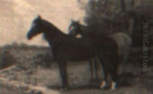 Chestnut And Roan Chestnut And Roan