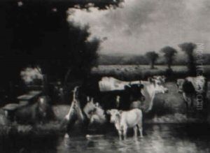 Cows By A Brook