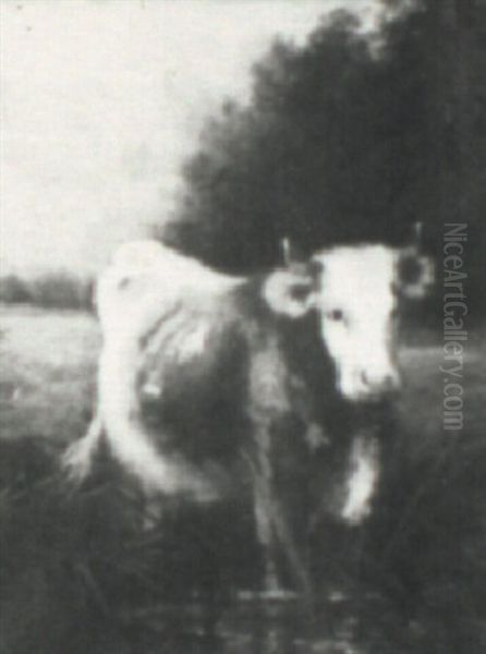 Cow By The River - view 1