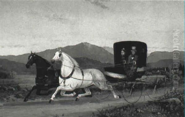 Buggy Ride - view 1