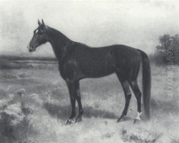 Portrait Of A Horse - view 1