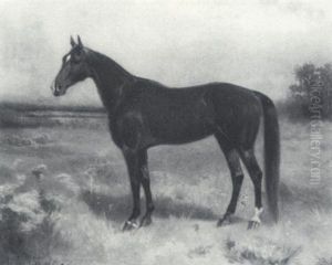 Portrait Of A Horse Portrait Of A Horse
