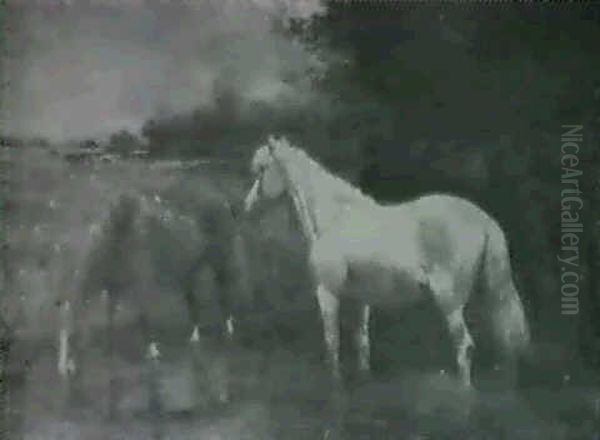 Horses Grazing And Watering - view 1