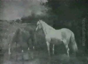 Horses Grazing And Watering Horses Grazing And Watering