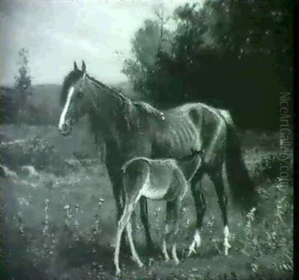 Mare And Foal - view 1