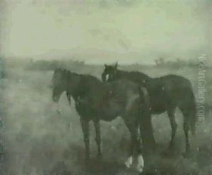 Two Horses In A Field. Two Horses In A Field.