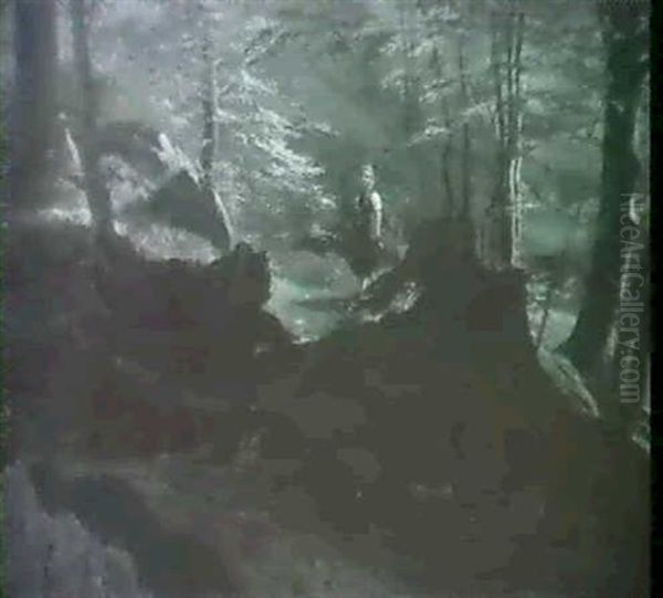 Spaziergang Im Wald - view 1