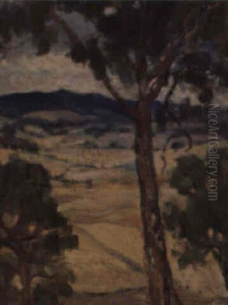 Monaro Landscape - view 1