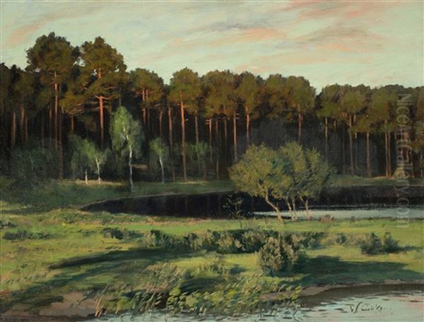 Grunewald - view 1
