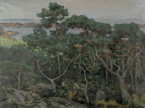 Schwedische Meereskuste Mit Verastelten Kiefern, Vorgelagerte Landzunge Und Segelboote
