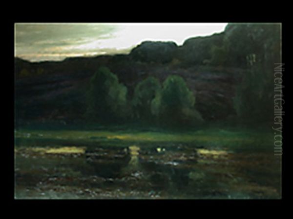 Bewaldete Teichlandschaft Bei Sonnenuntergang - view 1