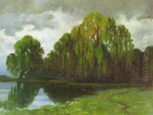 Waldsee Mit Weiden