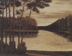 Der Grunewaldsee Im Abendlicht