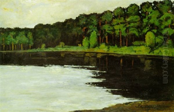 Der Grunewaldsee Am Morgen - view 1