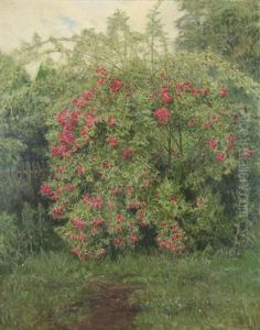 Garden Landscape