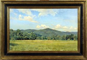 Paysage De Montagne