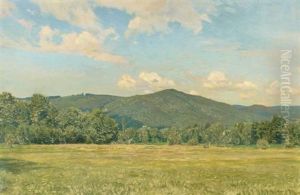 Landschaft In Der Ramsau by Thomas Leitner