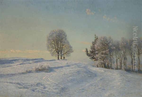 Winter Im Waldviertel - view 1