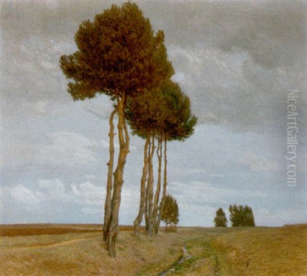 Landschaft Im Waldviertel - view 1