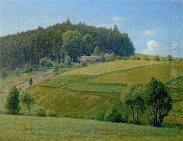 Sommer (waldviertel) - view 1