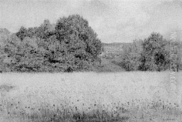 Sommerlandschaft - view 1