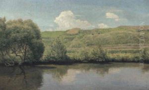 Fluslandschaft by Thomas Leitner