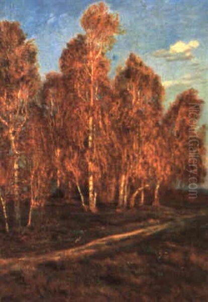 Herbstlicher Birkenwald - view 1