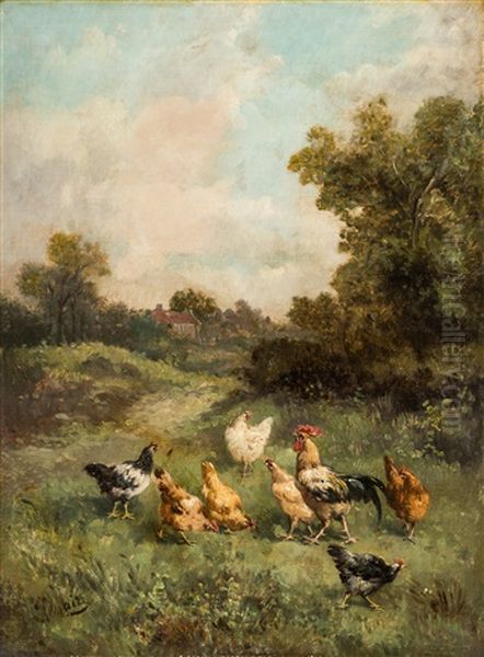 Chickens In The Yard - view 1
