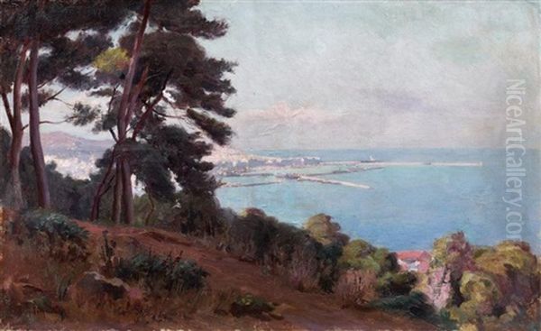 La Baie D'alger - view 1