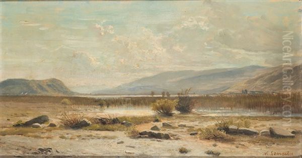 Schilfbewachsene Uferlandschaft - view 1