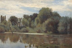 Auenlandschaft Mit Baumen Und Buschen