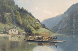 Die Viehfahre In Den Alpen