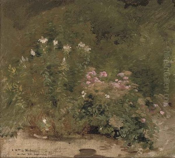 A Corner Of The Garden - view 1
