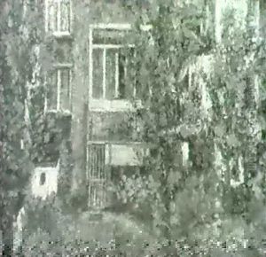 Jardin (vers 1905)