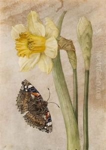 Narciso Giallo E Una Farfalla by Jacques Antoine Marie Lemoine