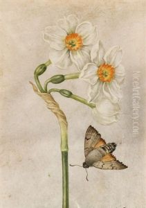 Narciso Bianco E Una Falena by Jacques Antoine Marie Lemoine