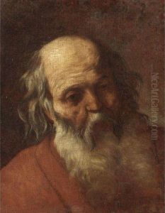 Testa Di Vecchio by Agostino Beltrano