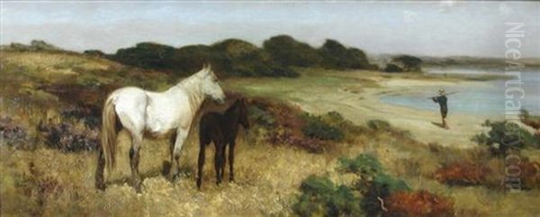 A Mare And Foal By A Beach Watching A Passing Fisherman - view 1