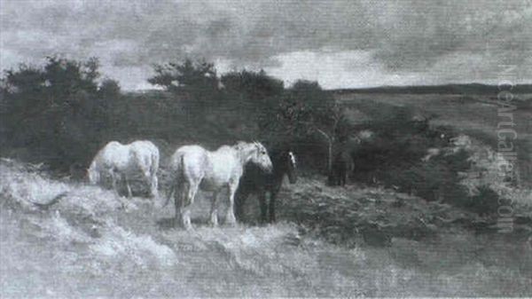Ponies On A Moor - view 1